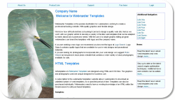 free sample web template