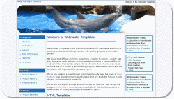 Dolphin Show Template