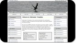 Flying Bird Template