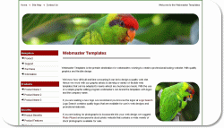 Lorikeet Template