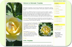 Yellow Roses Template