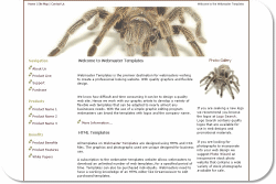 Tarantula  Template