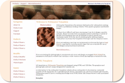 Chocolate Chips Template