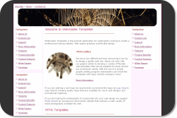 Web Template