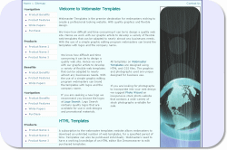 International Business Template