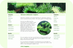 Underwater Web Template