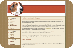 Basset Hound Template