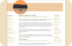 Seagull Sunset Template