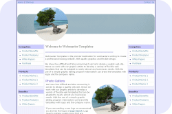 Aruban Divi Tree Template