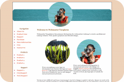 Snorkel Trip Template