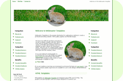 Pet Rabbit Template