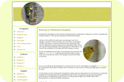 Yellow Bird Feeder Template