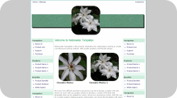 Clematis Template