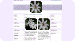 Climbing Clematis Vine Template