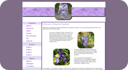 Blooming Iris Template