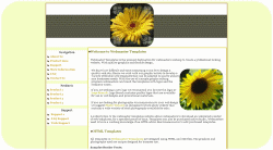 Yellow Gerber Daisy Blossom Template