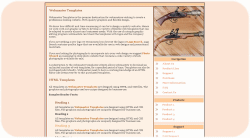 Old Style Weapons Template