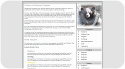 Black Bear in Tree Template