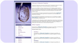 Refreshment Template