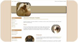 Brittany Spaniel Template