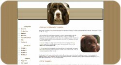 Springer Spaniel Puppy Template