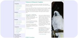 Cockatoo Template
