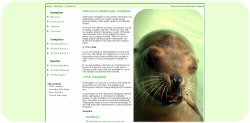 Sea Lion Lunch Template