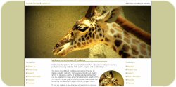 Giraffe Closeup Template