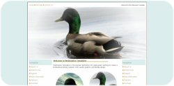 Mallard Swimming Template