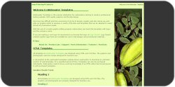 Star Fruit Template