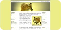 Red Fox Template