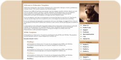 Bear Cub Template