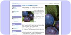 Plums Template