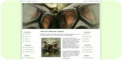 Gas Masks Template