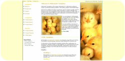 Chickadees Template