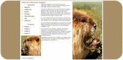 Woodchuck Template