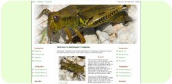Grasshopper Template