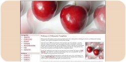 Red Cherries Template