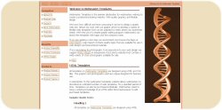 DNA Helix Template