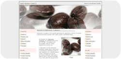Java Beans Template