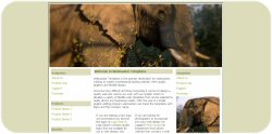 Pachyderm Template