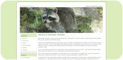 Raccoon Template