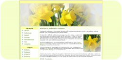 Spring Daffodils Template