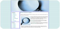 Magnifying Search Glass Web Template