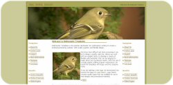 Bird Watching Web Template