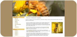 Hornet Web Template