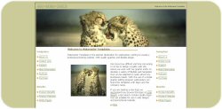 Leopard Pair Web Template