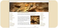 Kane Toad Web Template