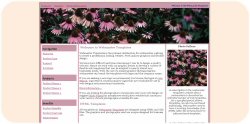 Coneflower Web Template