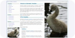 Baby Swan Web Template